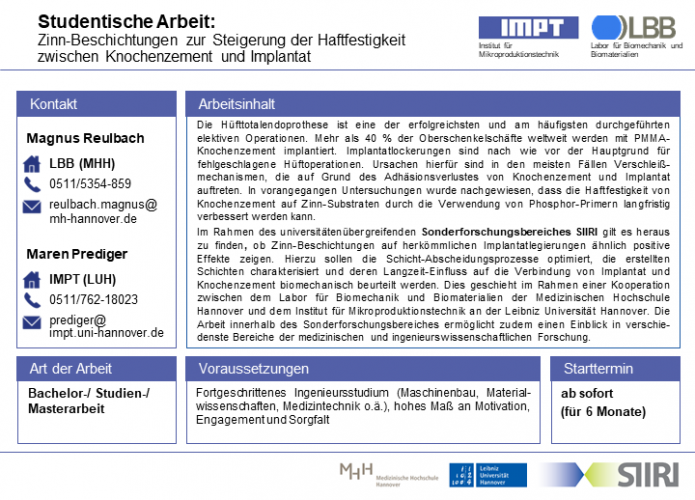 Ausschreibung Sn Beschichtungen A08 LBB